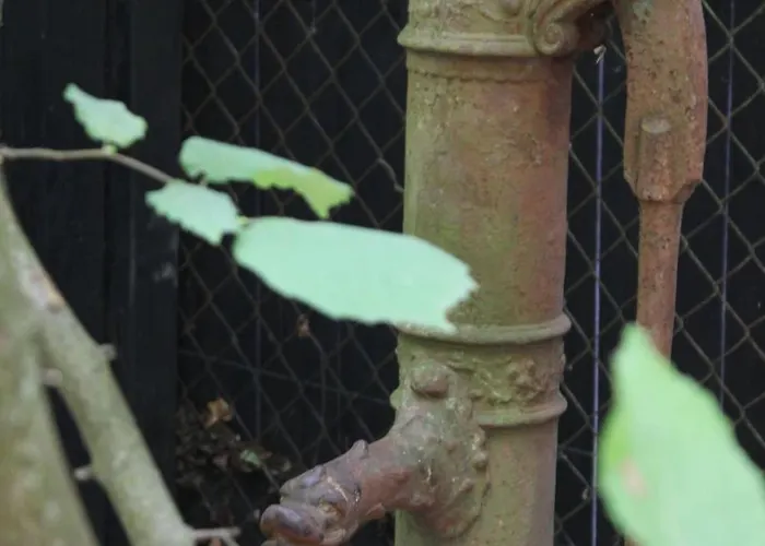 Cosy&ses Troglos Chez Evariste *